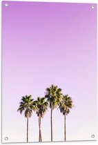 Tuinposter – Vier Hoge Smalle Palmbomen op Pastelroze Achtergrond - 60x90 cm Foto op Tuinposter (wanddecoratie voor buiten en binnen)