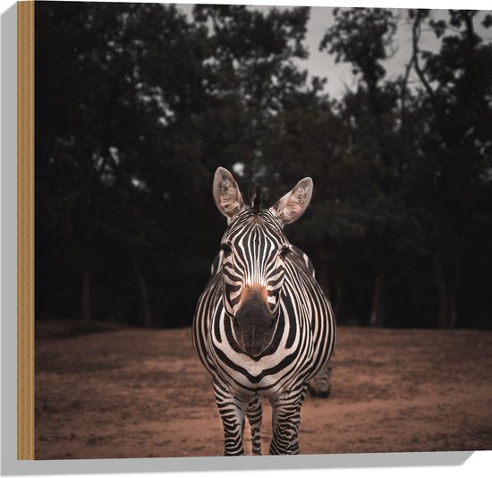 WallClassics - Hout - Zebra in de Bossen - 50x50 cm - 9 mm dik - Foto op Hout (Met Ophangsysteem)