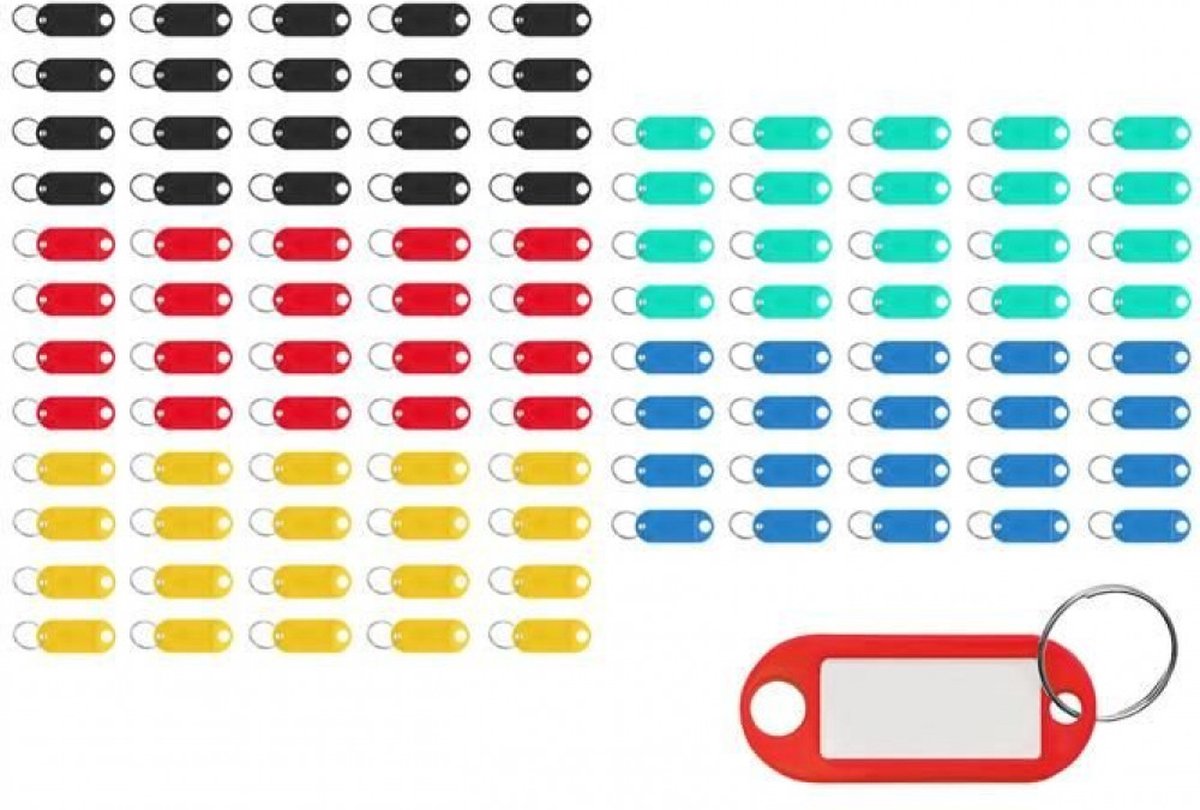 Repus - Sleutelhangers - Sleutel labels - Set van 100 stuks - 5 verschillende kleuren - Schrijfbaar - Kleurrijk