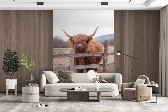 Behang - Fotobehang Schotse Hooglander - Gras - Hek - Breedte 160 cm x hoogte 220 cm