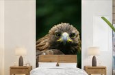 Behang - Fotobehang Arend - Bruin - Roofvogel - Breedte 120 cm x hoogte 240 cm