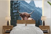 Behang - Fotobehang Koe - Schotse hooglander - Natuur - Breedte 220 cm x hoogte 220 cm