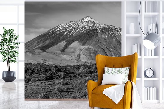 Papier peint photo Tenerife - Volcan El Tei à Tenerife, Espagne - Zwart- Wit largeur 260 cm x hauteur 260 cm - Impression photo sur papier peint vinyle (disponible en 7 formats) - chambre/séjour/bureau