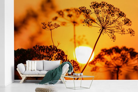 Behang - Fotobehang Planten - Bloemen - Zonsondergang - Oranje - Breedte 405 cm x hoogte 260 cm