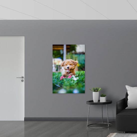 WallClassics - Muursticker - Bruine Hond Spelend in het Gras - 80x120 cm Foto op Muursticker