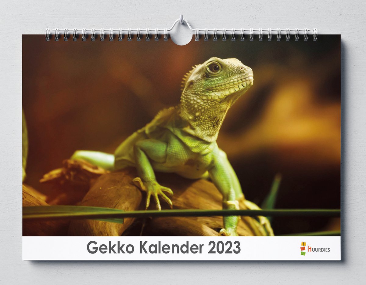 Gekko Kalender 2023 - jaarkalender - 35x24cm - Huurdies