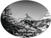 WallClassics - PVC Schuimplaat Ovaal - Grote Boom voor Sneeuwbergen (zwart/ wit) - 96x72 cm Foto op Ovaal (Met Ophangsysteem)