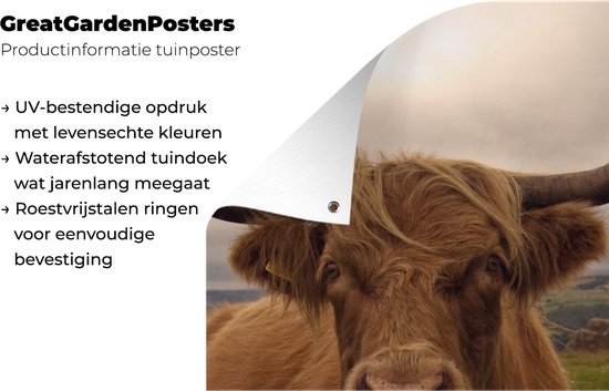 Affiche de jardin - Toile de jardin - Posters de jardin extérieures - Highlander écossais - Animaux - Berg - 80x120 cm - Jardin