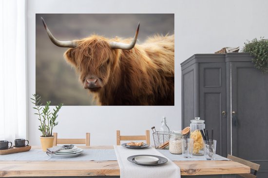Close up of a Scottish Highlander Poster 180x120 cm - Tirage photo sur Poster (décoration murale salon / chambre) / Poster Animaux sauvages XXL / Grand format!