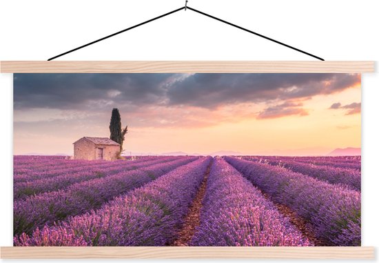 Porte-affiche avec affiche - Affiche scolaire - Lavande - Fleurs - Violet - Champ - 60x30 cm - Lattes vierges