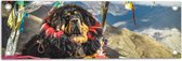 Tuinposter – Hond liggend op Berg - 60x20 cm Foto op Tuinposter (wanddecoratie voor buiten en binnen)