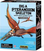 4M Kidzlabs: DIG-YOUR-DINOSAUR-UP (Ptéranodon), construction squelette dans un bloc de plâtre, boîte 17x22x6cm, 8+