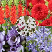 Plant in a Box - Bollen uit Holland - 125 stuks - Bloembollen - Mix met 5 verschillende bloemen - Dahlia's, Gladiolen, Freesia, Triteleia - Plant uw zomertuin in het voorjaar