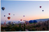 Acrylglas - Lucht Vol Hete Luchtballonnrn boven Landschap in de Avond - 75x50 cm Foto op Acrylglas (Met Ophangsysteem)