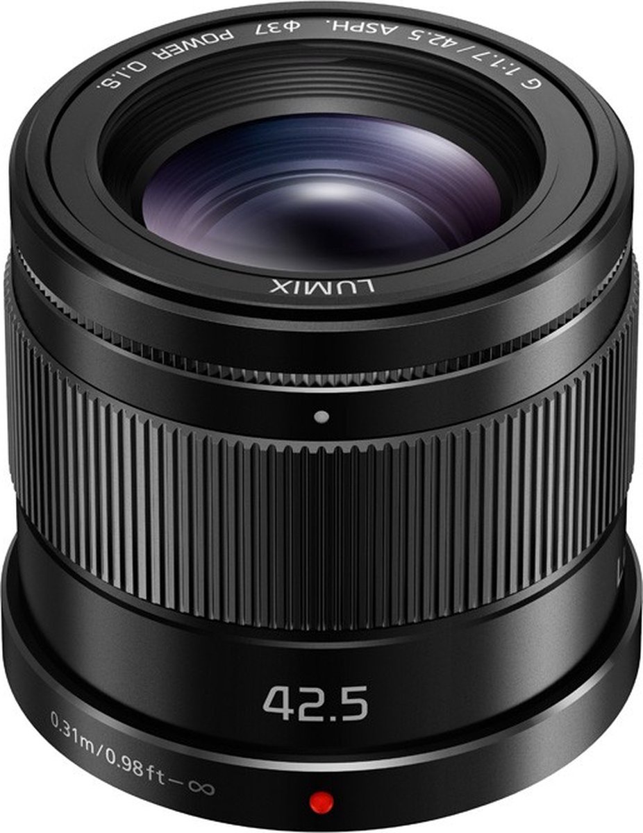 Panasonic H-HS043E MILC Telelens Zwart