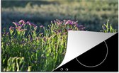KitchenYeah® Inductie beschermer 80.2x52.2 cm - Limonium bloemen in een groen landschap - Kookplaataccessoires - Afdekplaat voor kookplaat - Inductiebeschermer - Inductiemat - Inductieplaat mat