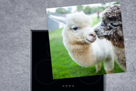 KitchenYeah® Inductie beschermer 78x78 cm - Alpaca - Liefde - Gras - Kookplaataccessoires - Afdekplaat voor kookplaat - Inductiebeschermer - Inductiemat - Inductieplaat mat