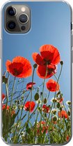 Geschikt voor iPhone 13 Pro Max hoesje - Felle zon boven een aantal klaprozen in Spanje - Siliconen Telefoonhoesje