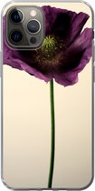 Geschikt voor iPhone 12 Pro hoesje - Close-up van een paarse Klaproos - Siliconen Telefoonhoesje