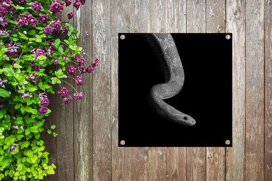 Toile de jardin Animaux - Serpent - Zwart - Wit - Portrait - 100x100 cm