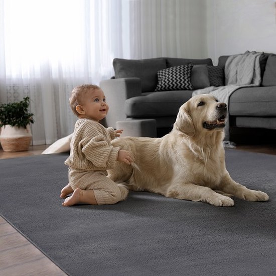 Hoogpolig Vloerkleed 190 x 260 cm Shaggy Vloerkleed Pluizige Tapijt Antislip Moderne Elegante Waterdicht voor Binnen En Buiten Slaapkamer Slaapbank Woonkamer, Wit