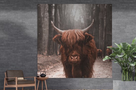 Affiche de Jardin Highlander écossais - Animaux - Vaches - 200x200 cm