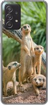 Geschikt voor Samsung Galaxy A53 5G hoesje - Familie - Dieren - Stokstaartjes - Siliconen Telefoonhoesje