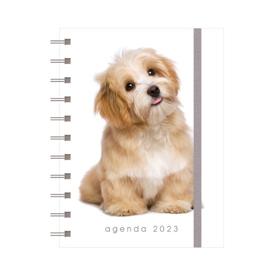 A6 Spiraal Agenda Honden 2023 bol