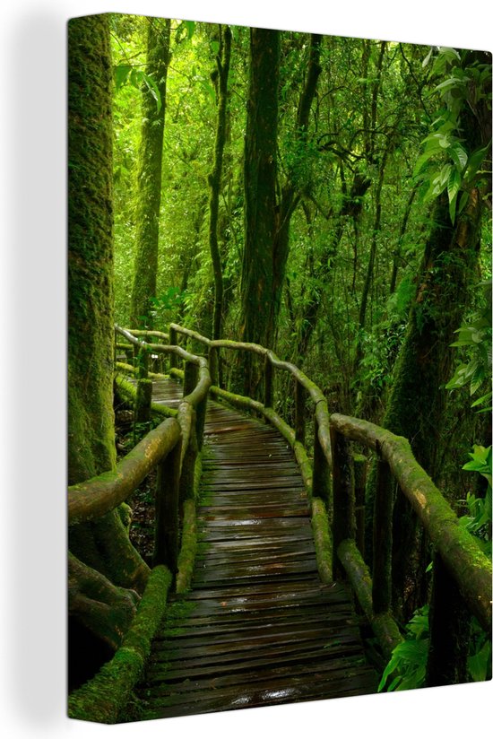 Toile - Peinture - Forêt - Arbres - Jungle - Chemin - Décoration murale Murale - Toile - 90x120 cm