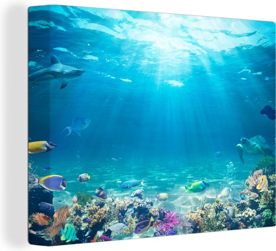 Toile - Toile mer - Pêche - Monde sous-marin - Water - Poissons tropicaux - Décoration de chambre - Peintures sur toile - 40x30 cm
