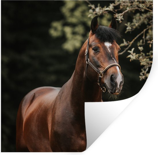 Stickers muraux - Cheval - Branches - Portrait - 30x30 cm - Film adhésif