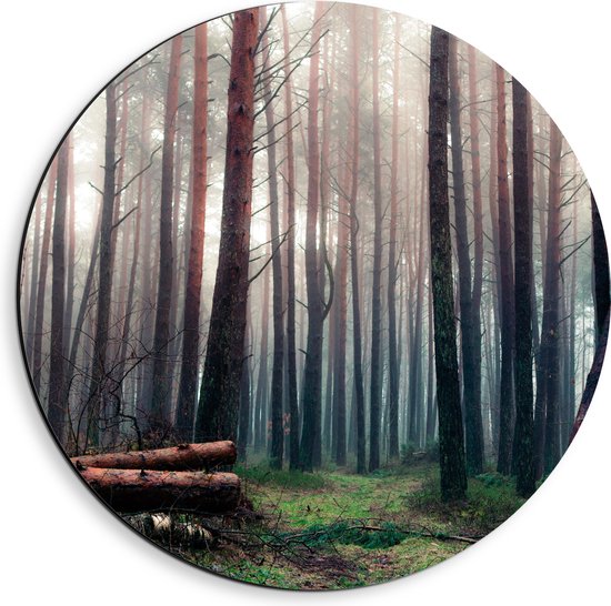 WallClassics - Dibond Muurcirkel - Omgevallen Bomen in het Bos - 40x40 cm Foto op Aluminium Muurcirkel (met ophangsysteem)