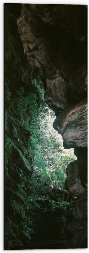 WallClassics - Dibond - Petites Plantes Vertes en Cave - Photo 30x90 cm sur Aluminium (Décoration murale en métal)