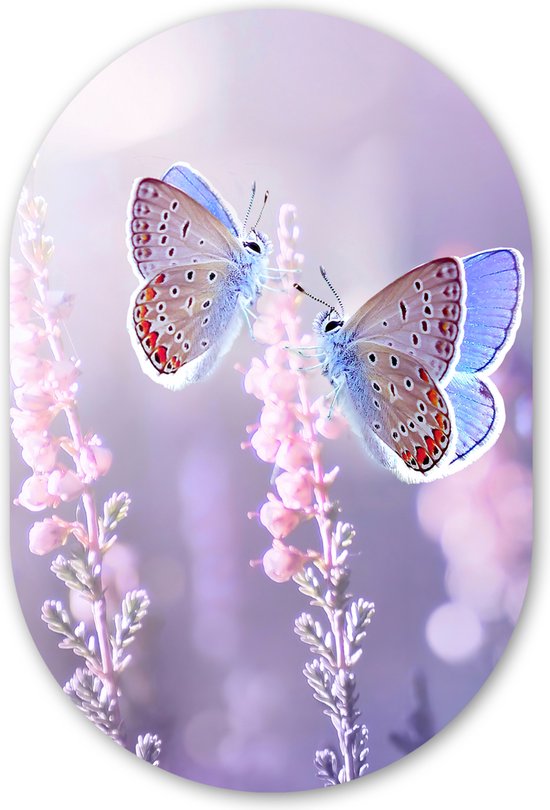 Muurovaal - Kunststof Wanddecoratie - Ovalen Schilderij - Vlinder - Lavendel - Bloemen - 40x60 cm - Ovale spiegel vorm op kunststof