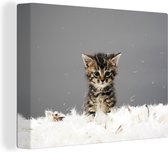 Canvas Schilderij Kat - Kitten - Veren - 80x60 cm - Wanddecoratie