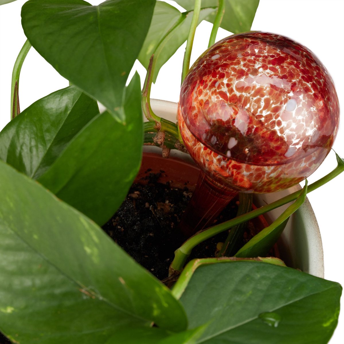 Waterdruppelaar Voor Planten 2 Stuks Rood Glas