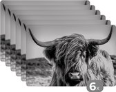 Placemat - Placemats kunststof - Koe - Schotse hooglander - Zwart - Wit - Dier - Natuur - Wild - 45x30 cm - 6 stuks - Hittebestendig - Anti-Slip - Onderlegger - Afneembaar