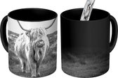 Mug Magique - Photo sur Mugs Chauffants - Tasse à Café - Highlander écossais - Animaux - Nuages - Vache - Nature - Mug Magic - Tasse - 350 ML - Tasse à Thé