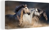 Canvas Schilderij Paarden - Zand - Stof - 40x20 cm - Wanddecoratie