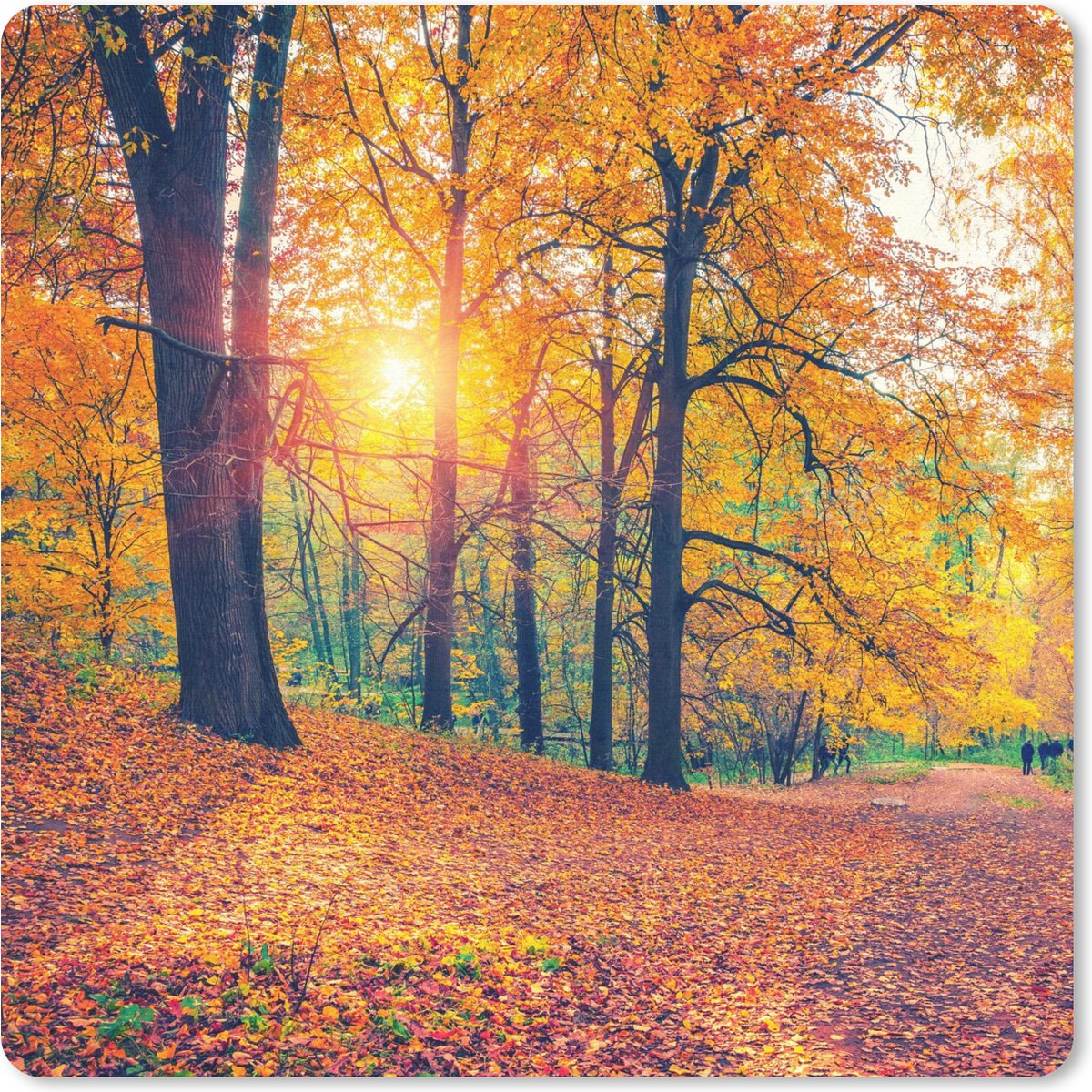Muismat 30x30 cm - Mousepad Bomen - Herfst - Bos - Herfstbladeren - Muismatten