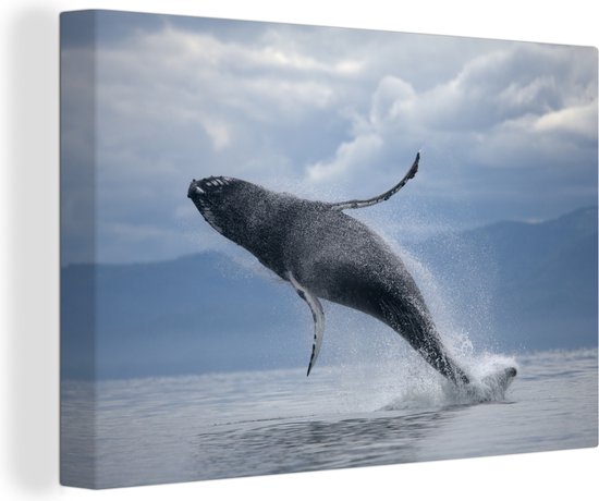 Canvas Schilderij Uit het water springende walvis - 90x60 cm - Wanddecoratie