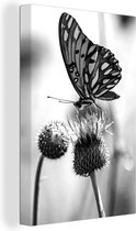 Canvas Schilderij Vlinder op distel in bloemenveld - zwart wit - 80x120 cm - Wanddecoratie