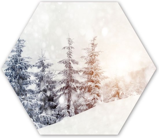 Hexagon wanddecoratie - Kunststof Wanddecoratie - Hexagon Schilderij - Boom - Sneeuw - Winter - 120x103 cm - Kerstdecoratie in huis - Kerstmis