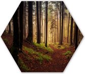 Hexagon wanddecoratie - Kunststof Wanddecoratie - Hexagon Schilderij - Bomen - Natuur - Bos - 75x65 cm