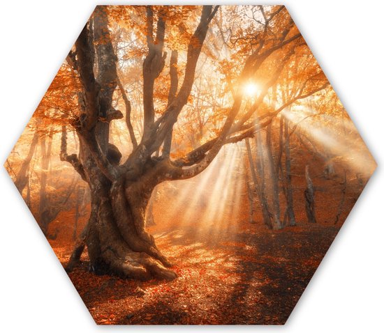 Décoration murale Hexagone - Décoration murale Plastique - Peinture Hexagone - Arbre - Nature - Automne - 120x103 cm