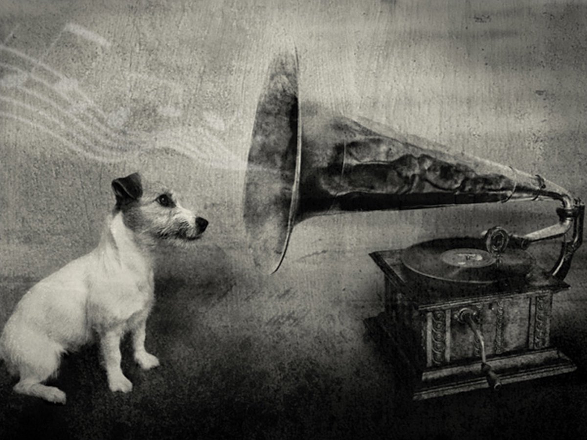 Fotobehang - Dog's melodies.