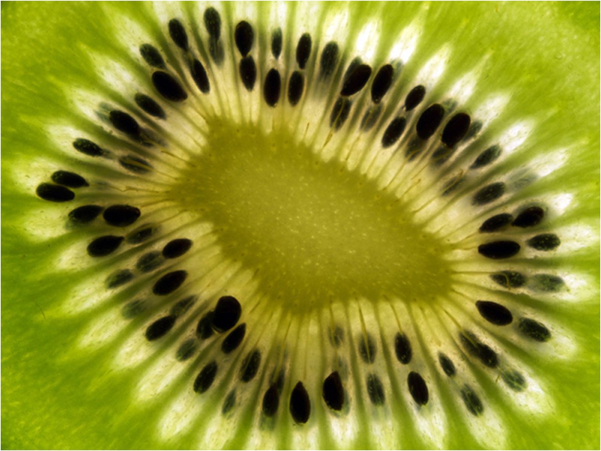 Fotobehang - fruit: kiwi.