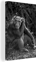 Impressions sur Peintures - Profil Animal Chimpanzé Assis en Noir et Blanc - 40x60 cm - Décoration murale