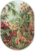 Muurovaal - Wandovaal - Kunststof Wanddecoratie - Ovalen Schilderij - Bloemen - Kunst - Vintage - Natuur - Botanisch - 40x60 cm - Ovale spiegel vorm op kunststof