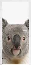 Deursticker slaapkamer - Deurdecoratie kinderkamers - Koala - Koala beer - Meisjes - Jongens - Kinderen - Dieren - 90x235 cm - Wanddecoratie - Kinder decoratie